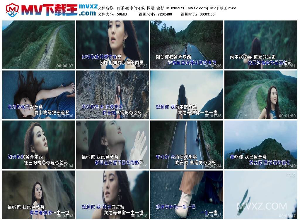 雨柔-雨中的守候_国语_流行_MD205971
